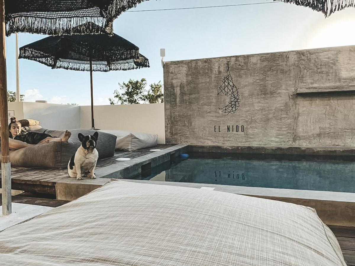 Boutique Hotel El Nido Holbox Ngoại thất bức ảnh